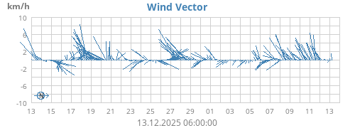 Wind Vector